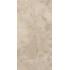 Bloomstone Shell 60x120 Ret R11C