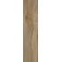 I lecci Classico 20х120 Rett.