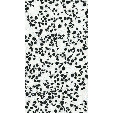 La Veneziana 1656 Campo Scuro Polished 29.85x60
