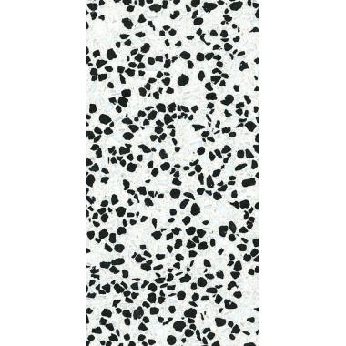 La Veneziana 1656 Campo Scuro Polished 60x300
