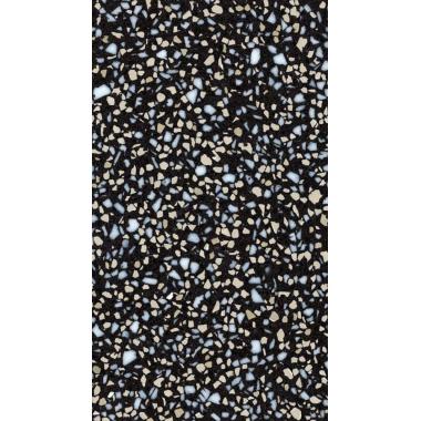 La Veneziana 1660 Nero Ducale Polished 120x300
