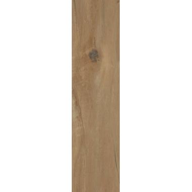 I lecci Oliato 20х120 Rett.
