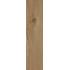 I lecci Oliato 20х120 Rett.