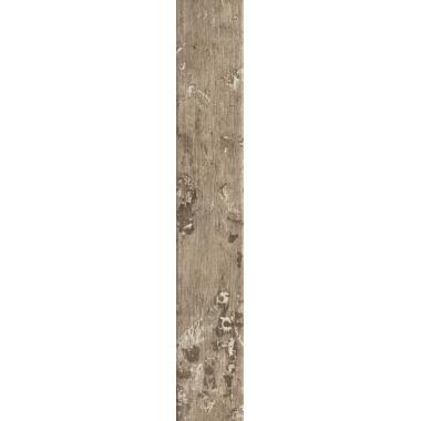 Kentucky American Elm Nat. 15x90