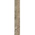Kentucky American Elm Nat. 15x90