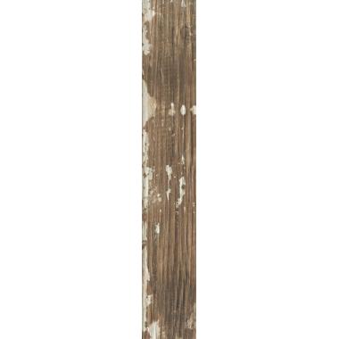 Kentucky American Elm Nat. 6.5x40