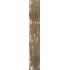 Kentucky American Elm Nat. 6.5x40