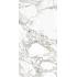 Arabescato Arabescato Naturale Ret. 60x120