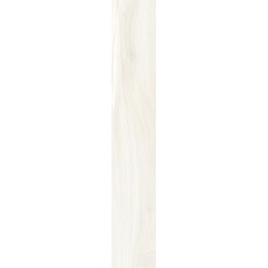 Amazon Arara Natural Ret. 20x120 10mm