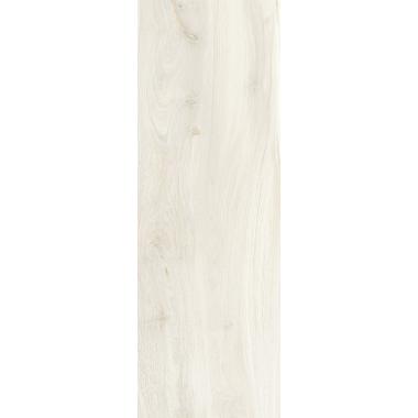 Amazon Arara Natural R11 Ret. 40x120 20mm