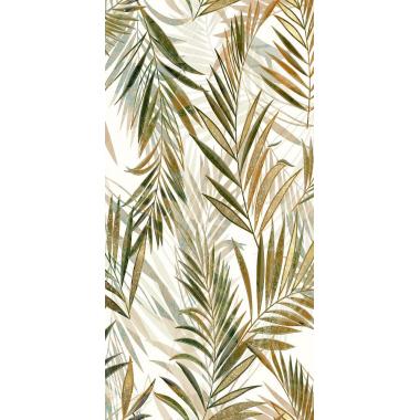 Imagine Areca Naturale Ret. 60x120