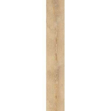 Ca Foscari Avana Nat. Ret. 20x120