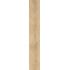 Ca Foscari Avana Nat. Ret. 20x120