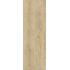 Ca Foscari Avana Nat. R11 Ret. 40x120 20mm