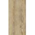 Ca Foscari Avana Nat. R11 Ret. 40x80 20mm