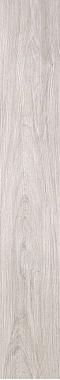 Acanto Bianco Naturale Ret. 20x120
