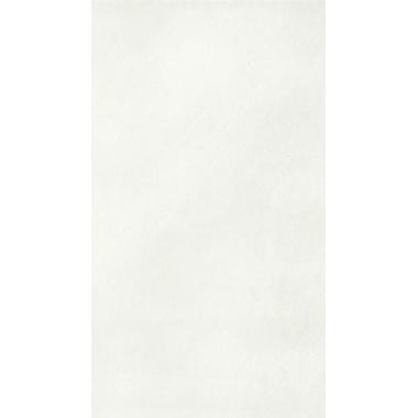 Cementine Bianco Opaco 20x50