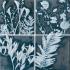 Materia Prima Blue Naturale Inserto S4 20x20