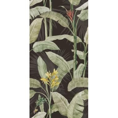 Imagine Botanical Naturale Ret. 60x120