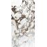 Les Bijoux de Rex Breche capraia Glossy Ret. 120x240