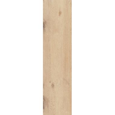 Rever Anise 30х120 R11C Aextra 20mm Ret.