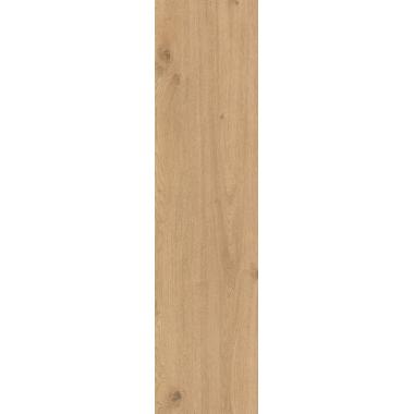 Rever Nut 30х120 R11C Aextra 20mm Ret.