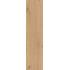 Rever Nut 30х120 R11C Aextra 20mm Ret.