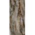 Patagonia Caffe Lucidato Ret. 120x280