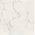 Marmi Bianchi Calacatta Lucidato Ret. 60x60