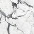 Les Bijoux de Rex Calacatta altissimo blanc Glossy Ret. 120x120