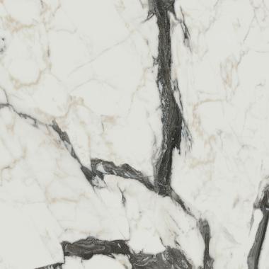 Les Bijoux de Rex Calacatta altissimo blanc Matte Ret. 60x60