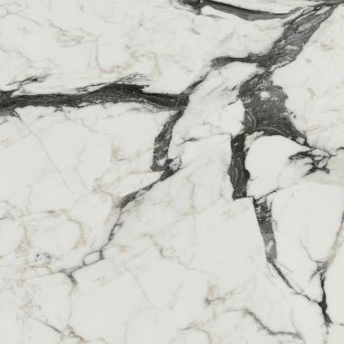 Les Bijoux de Rex Calacatta altissimo blanc Matte Ret. 80x80