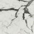 Les Bijoux de Rex Calacatta altissimo blanc Glossy Ret. 80x80