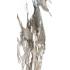 Calacatta Gold Calacatta Gold Lappato Lap. 60x120