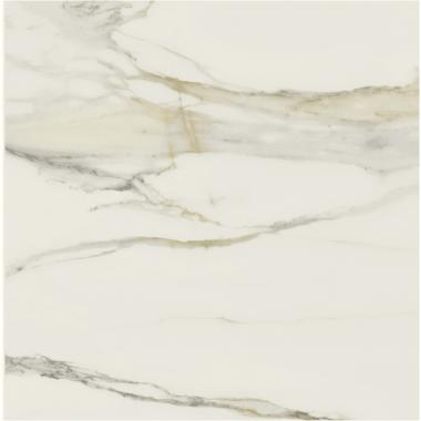 I Classici di Rex Calacatta gold Matte Ret. 60x60