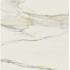 I Classici di Rex Calacatta gold Matte Ret. 60x60