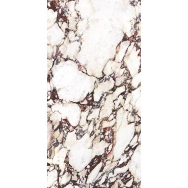 Calacatta Viola 60x120 Matt (9mm)