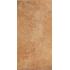 Antichi Amori Canossa 15x30 Nat.