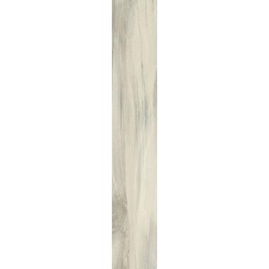 Kauri Catlins Nat. Ret. 20x120