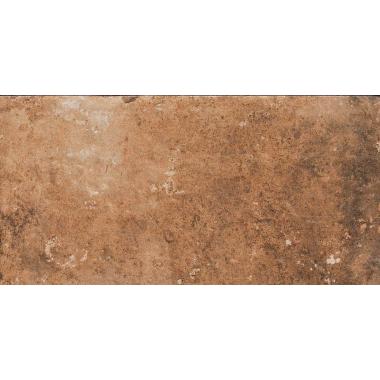Havana Cohiba Nat. 20x40