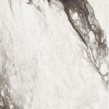 Etoile de Rex Renoir Glossy Ret. 120x120