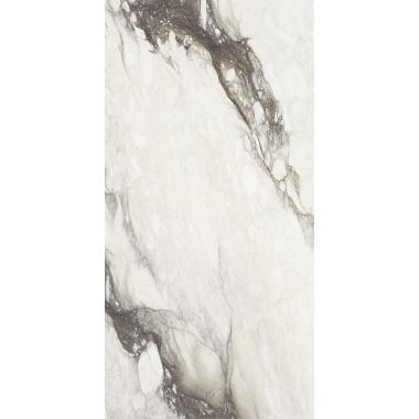 Etoile de Rex Renoir Matte Ret. 120x240