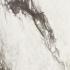 Etoile de Rex Renoir Glossy Ret. 160x160