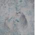 Showall Fenice Naturale Ret. Comp. 2 Pz 120x120