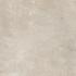 Find Ash 60х60 Matt RT R10B (8mm)