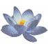 Aquatica Fiore Di Loto Opaque 31.6x31.6