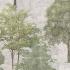 Tele Foresta Ret. 60x120