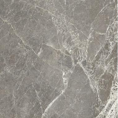 Exalt Gray Lace Naturale Ret. 60x60