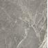 Exalt Gray Lace Naturale Ret. 60x60