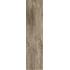 Logwood Grey Nat Ret. 24.8x99.8
